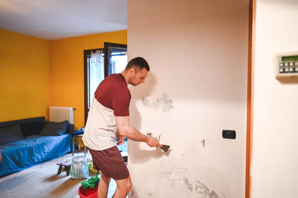 Best Mold Remediation for Specific Building Types in East Palatka, FL